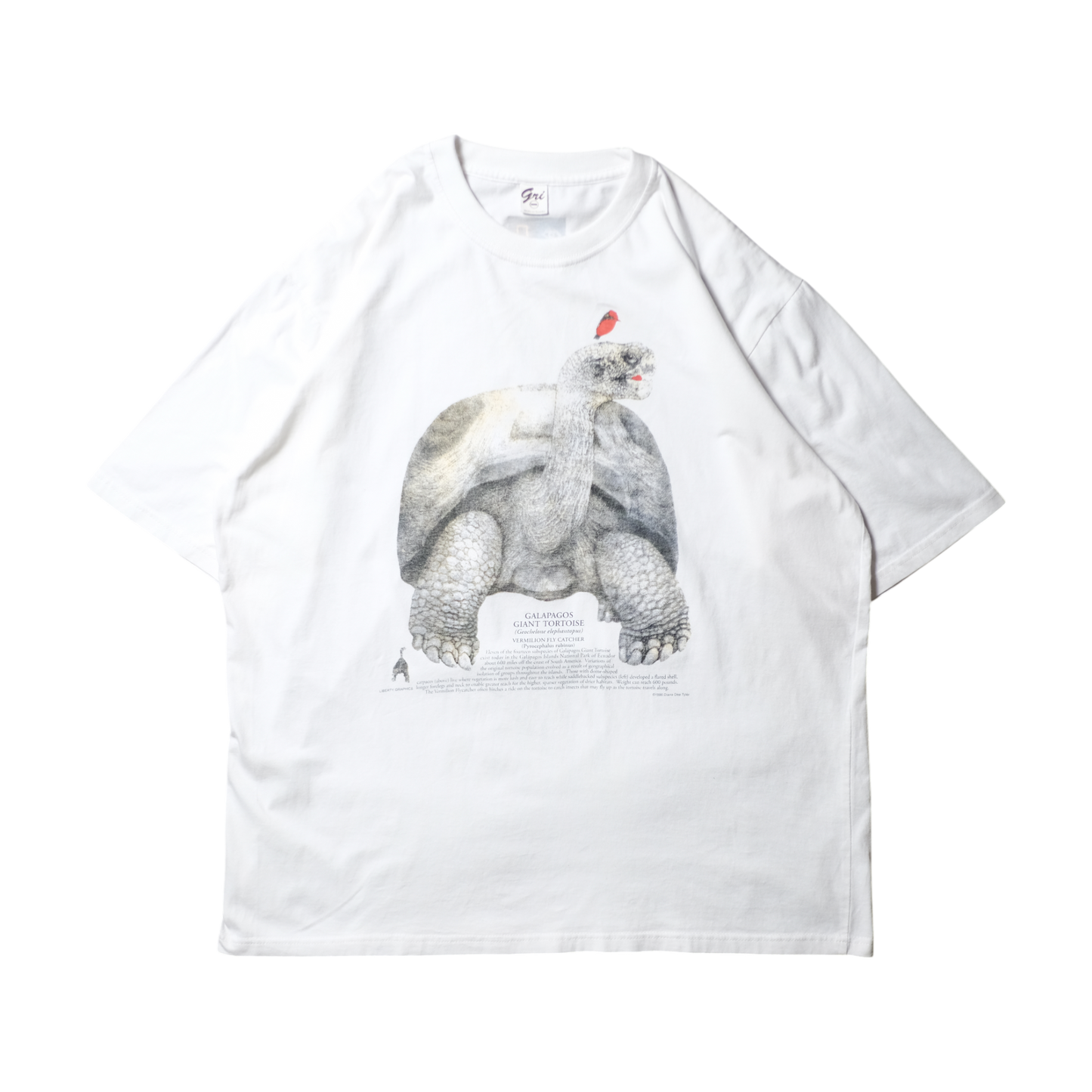 90s Dinosaur Tee -National Geographic-⠀
