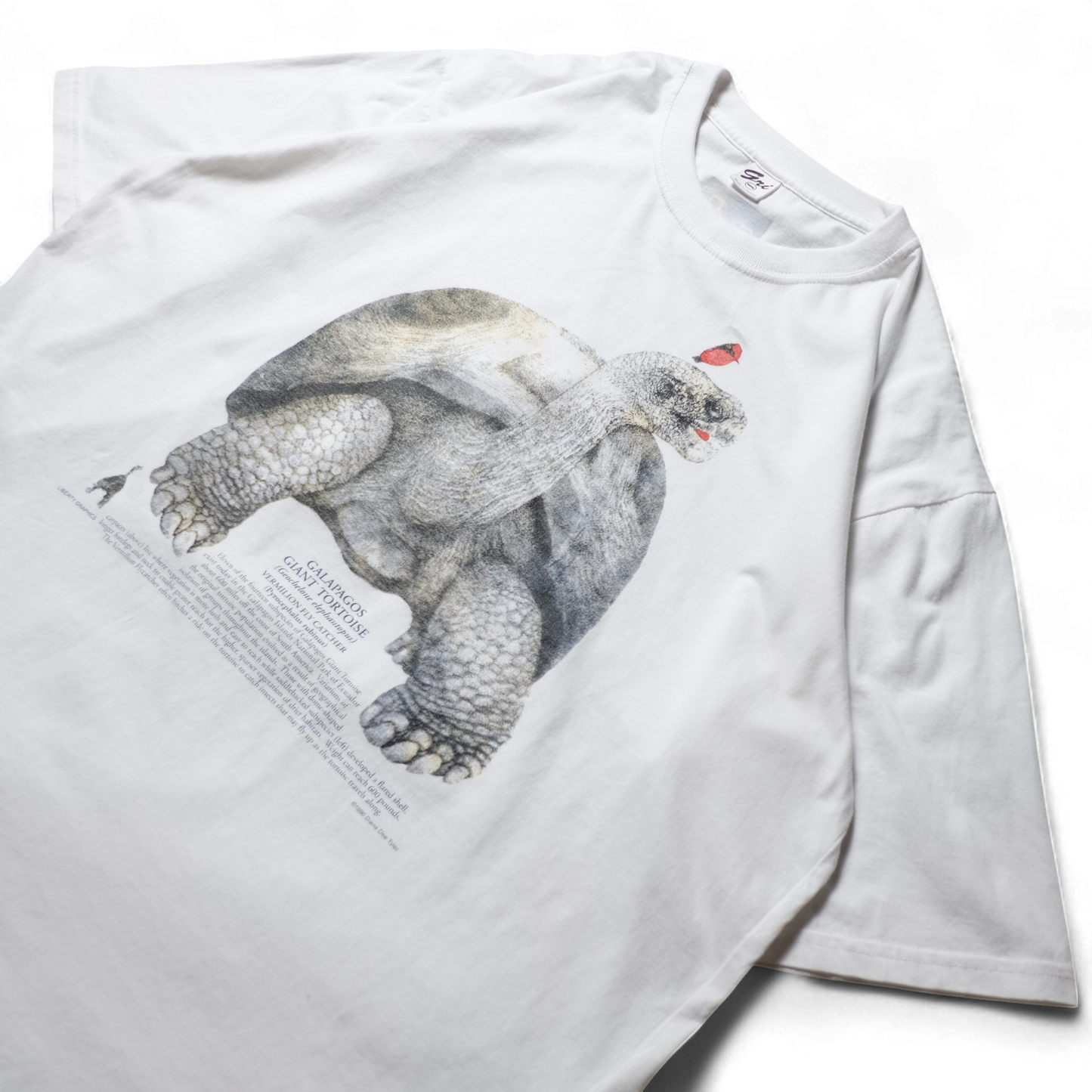 90s Dinosaur Tee -National Geographic-⠀