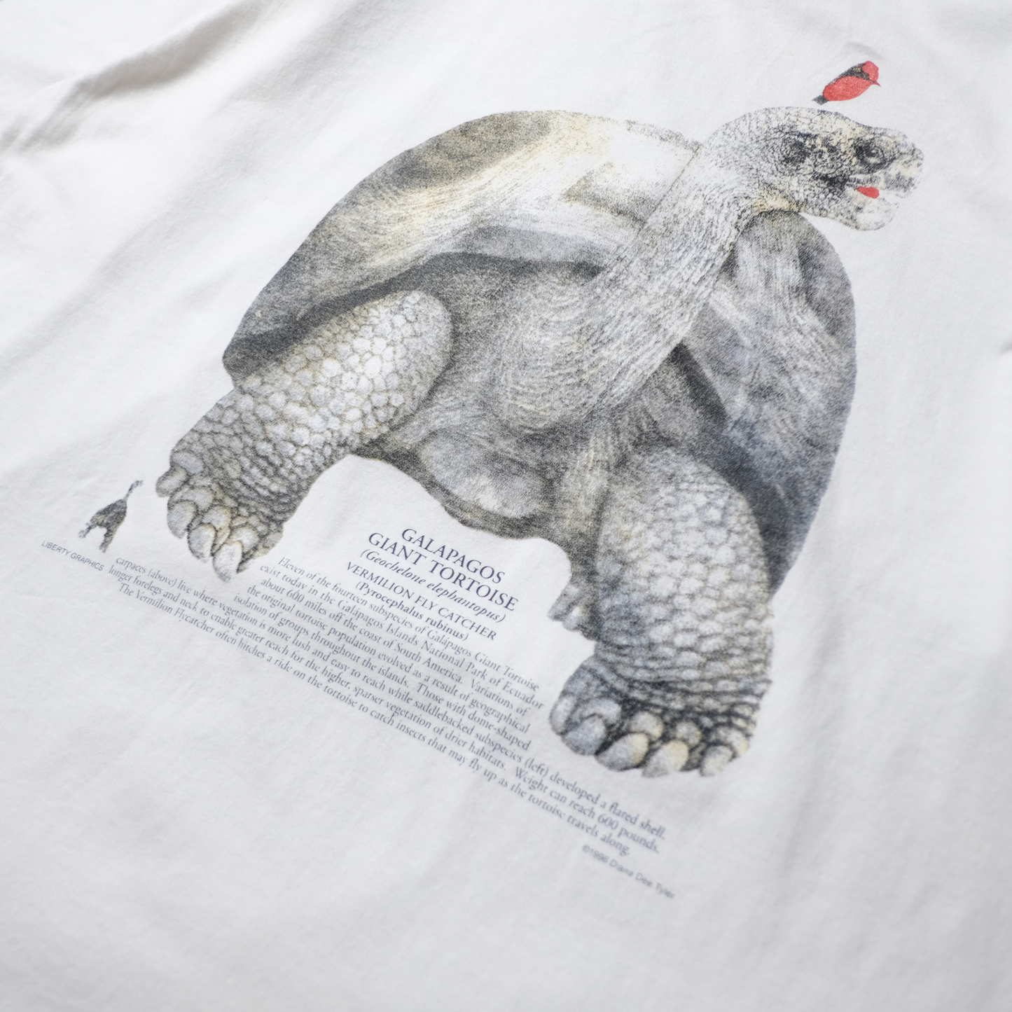 90s Dinosaur Tee -National Geographic-⠀
