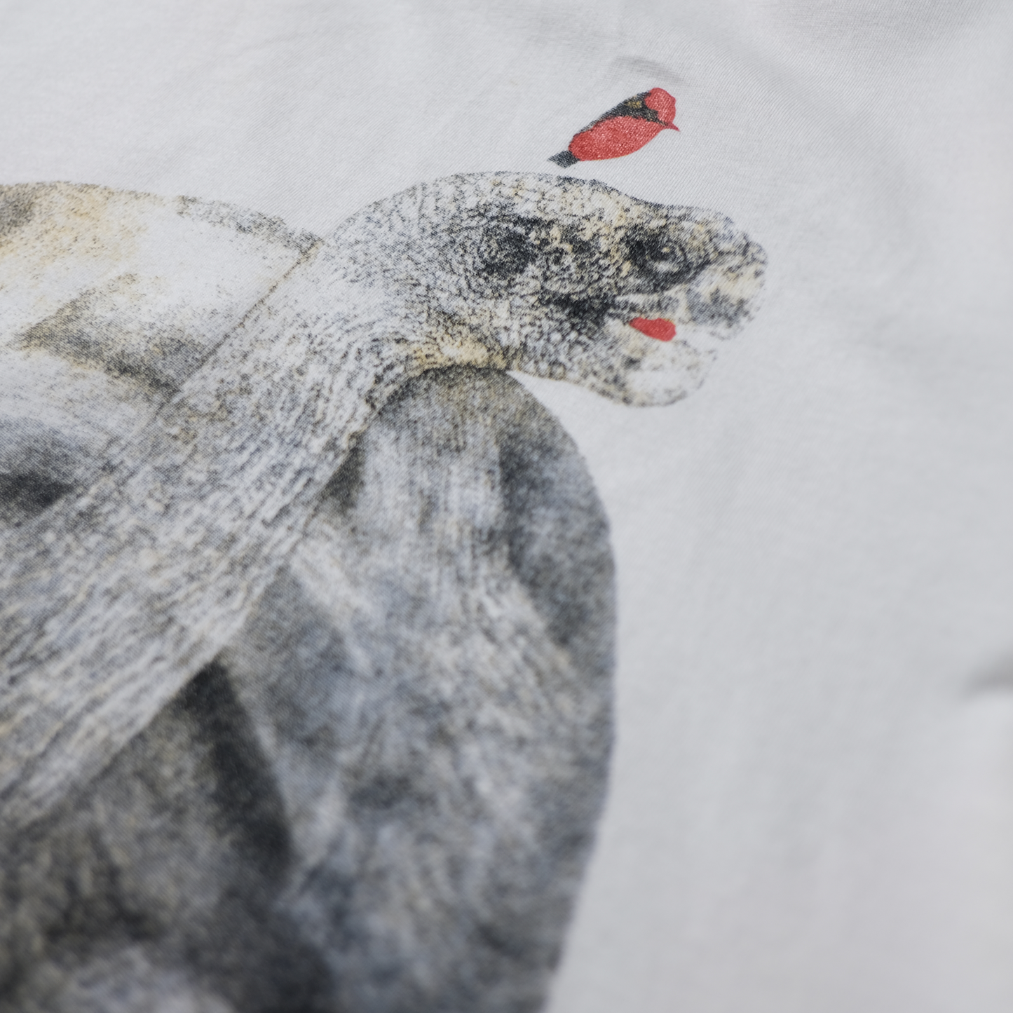 90s Dinosaur Tee -National Geographic-⠀