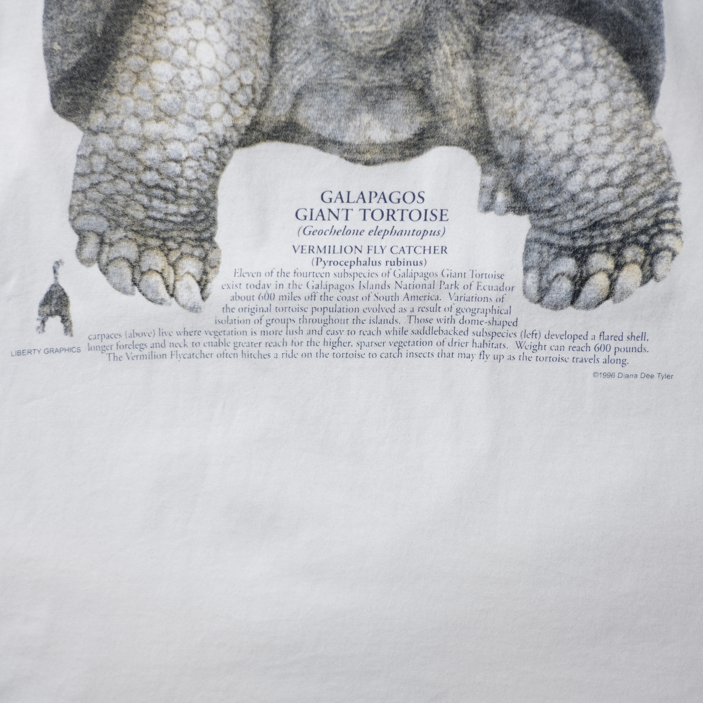 90s Dinosaur Tee -National Geographic-⠀