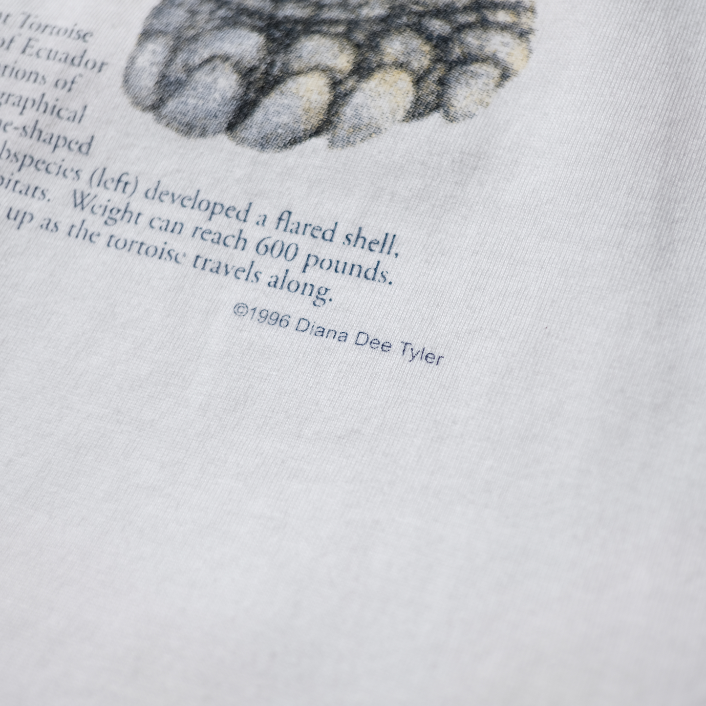 90s Dinosaur Tee -National Geographic-⠀