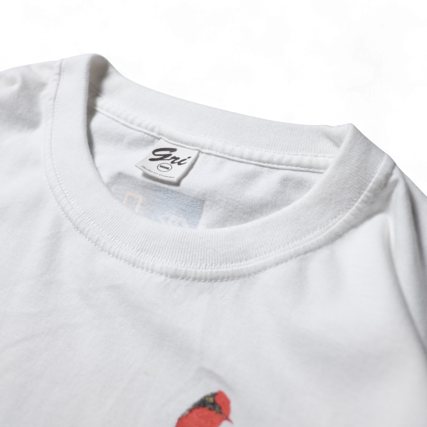 90s Dinosaur Tee -National Geographic-⠀
