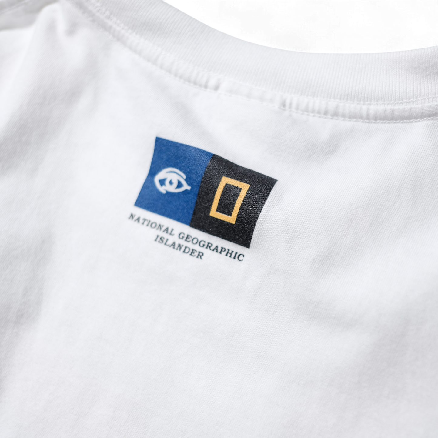 90s Dinosaur Tee -National Geographic-⠀