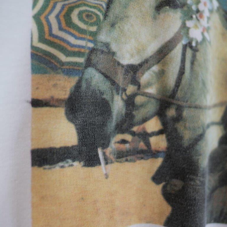 90s-00s Funky Horse Photo Tee