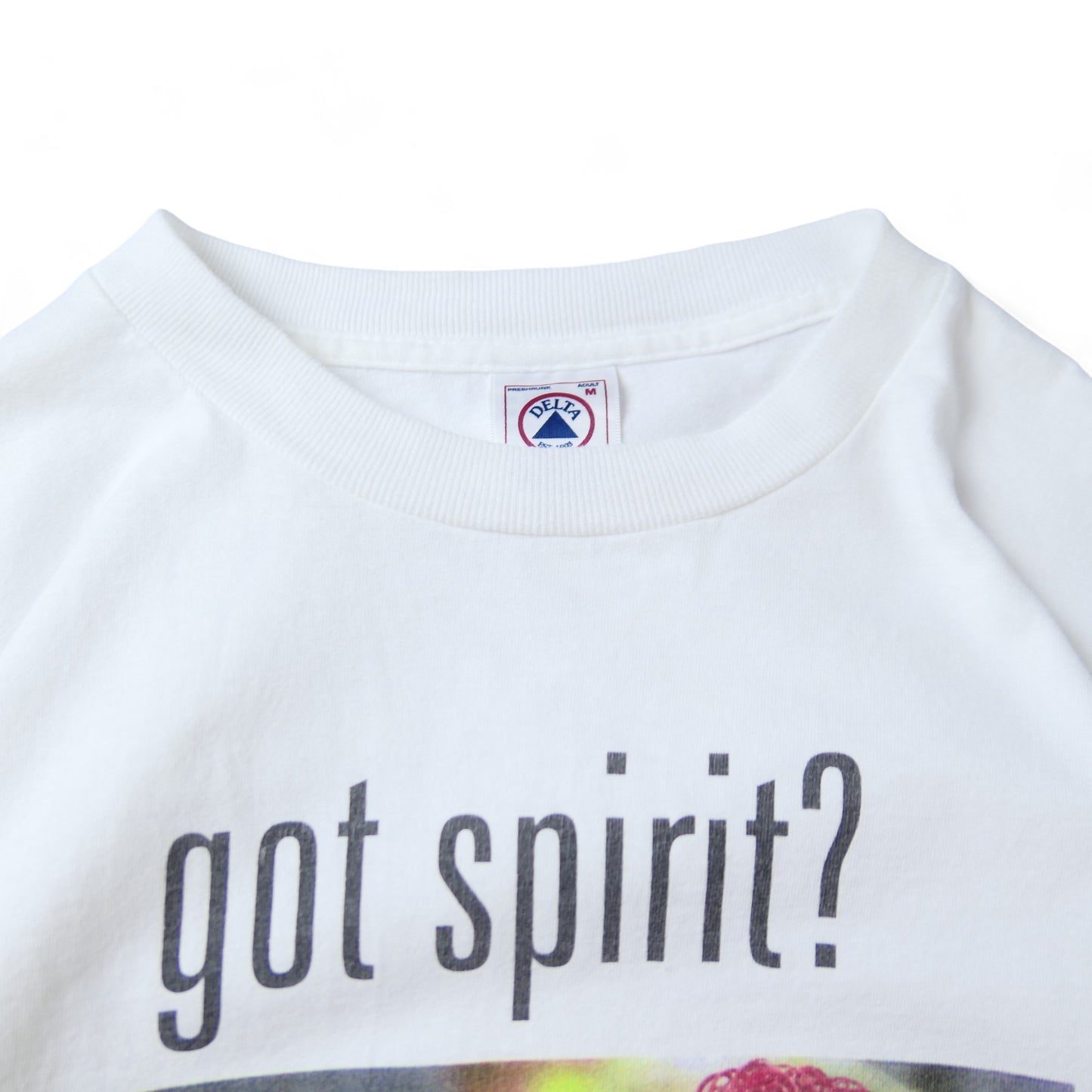 VINTAGE 90-00s M-L Parody Tee -got spirit?-