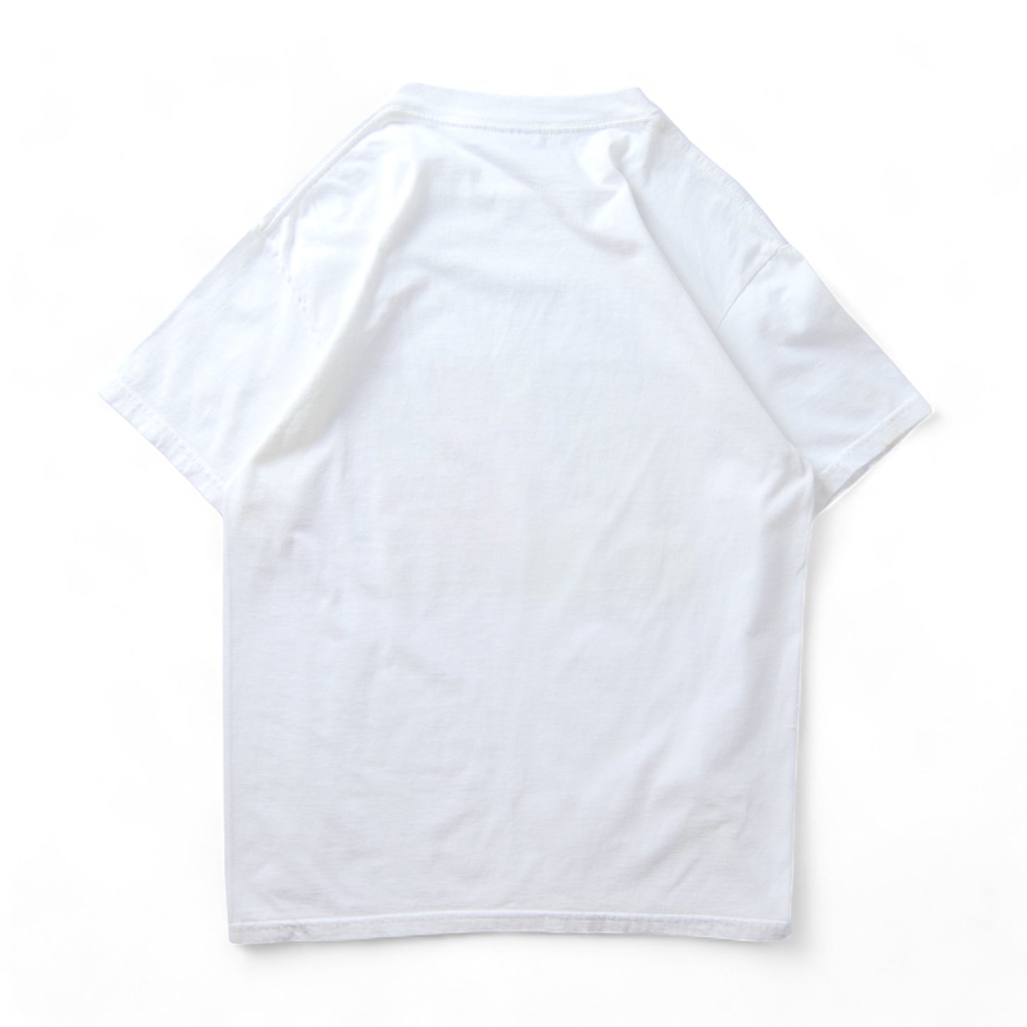 VINTAGE 90-00s M-L Parody Tee -got spirit?-