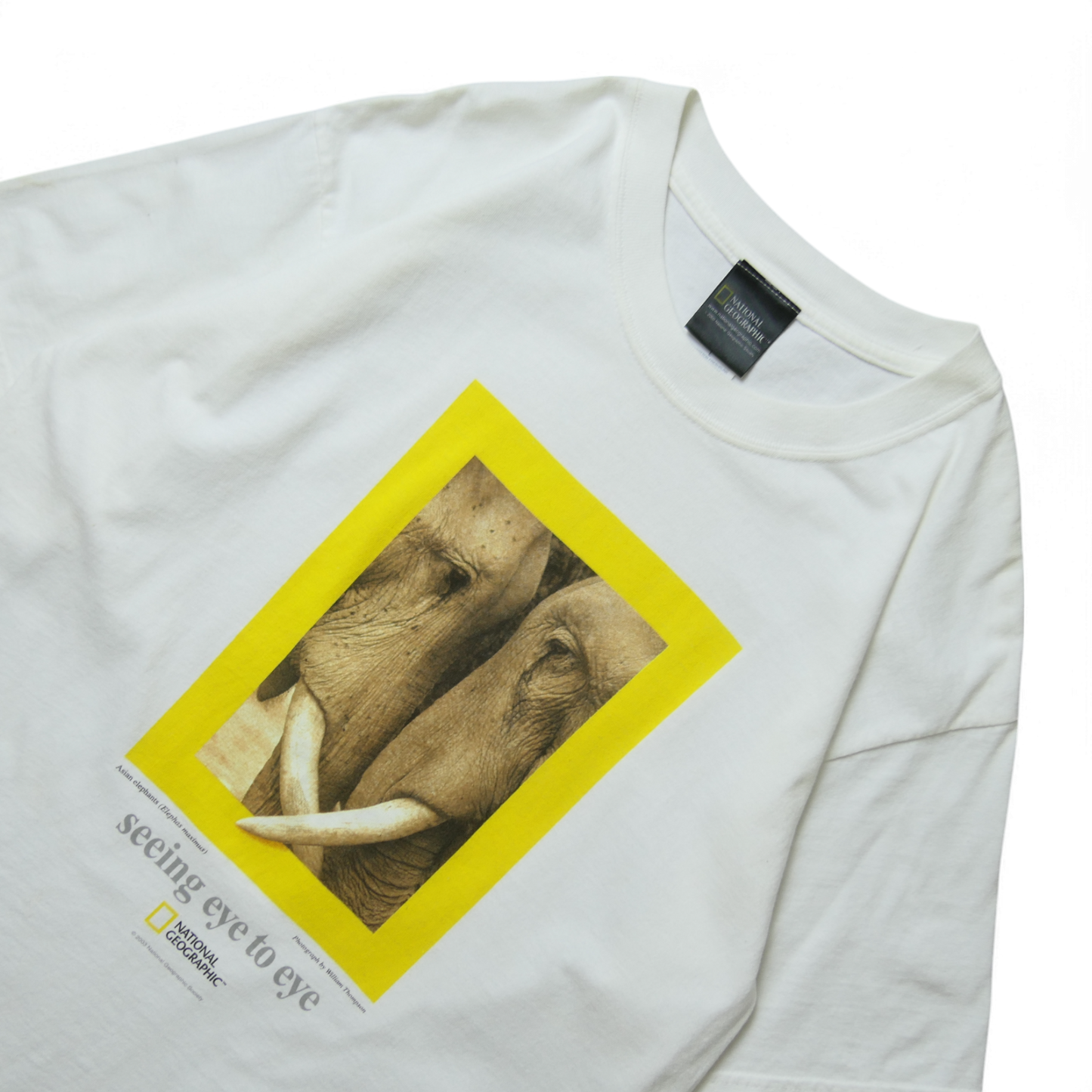 00s Animal Tee "Elephant" -NATIONAL GEOGRAPHIC-