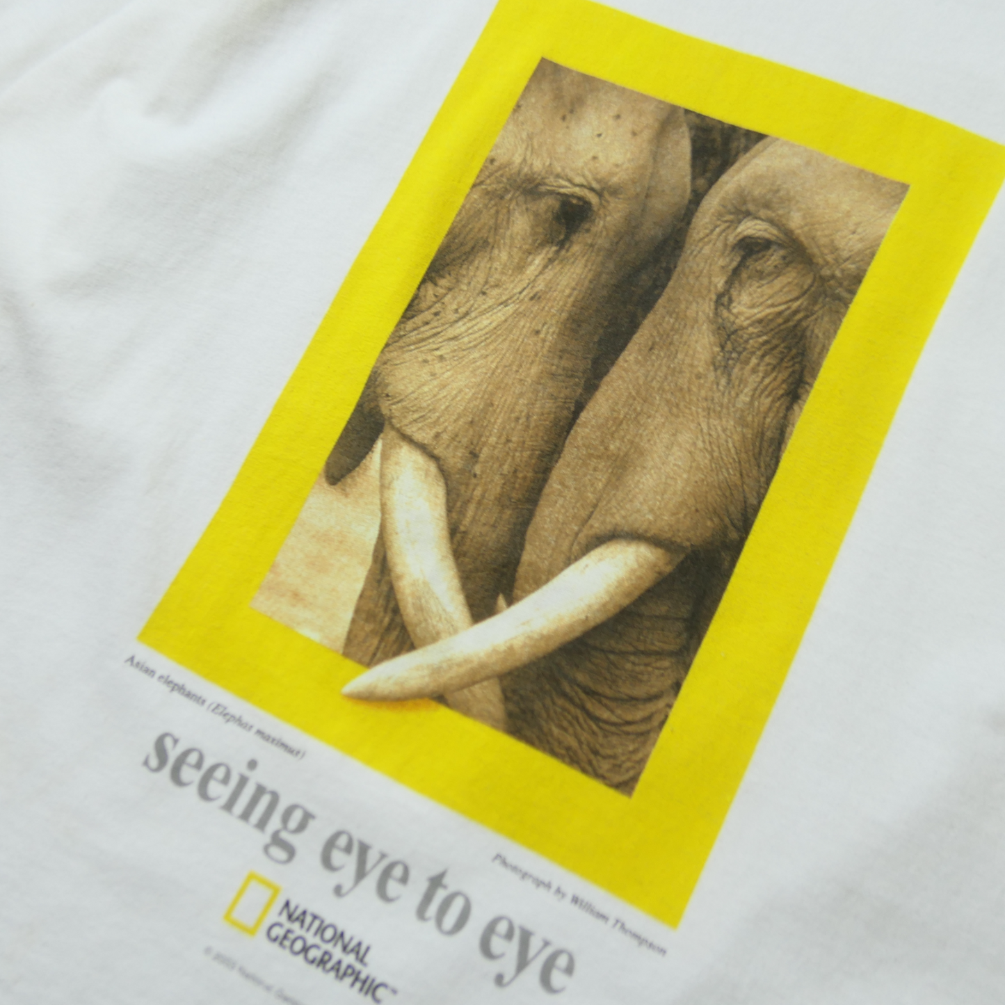 00s Animal Tee "Elephant" -NATIONAL GEOGRAPHIC-