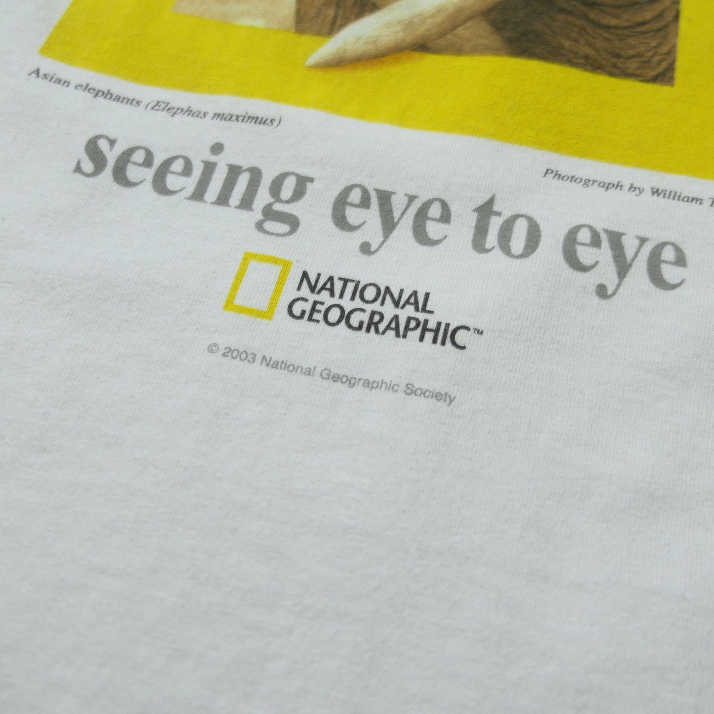 00s Animal Tee "Elephant" -NATIONAL GEOGRAPHIC-