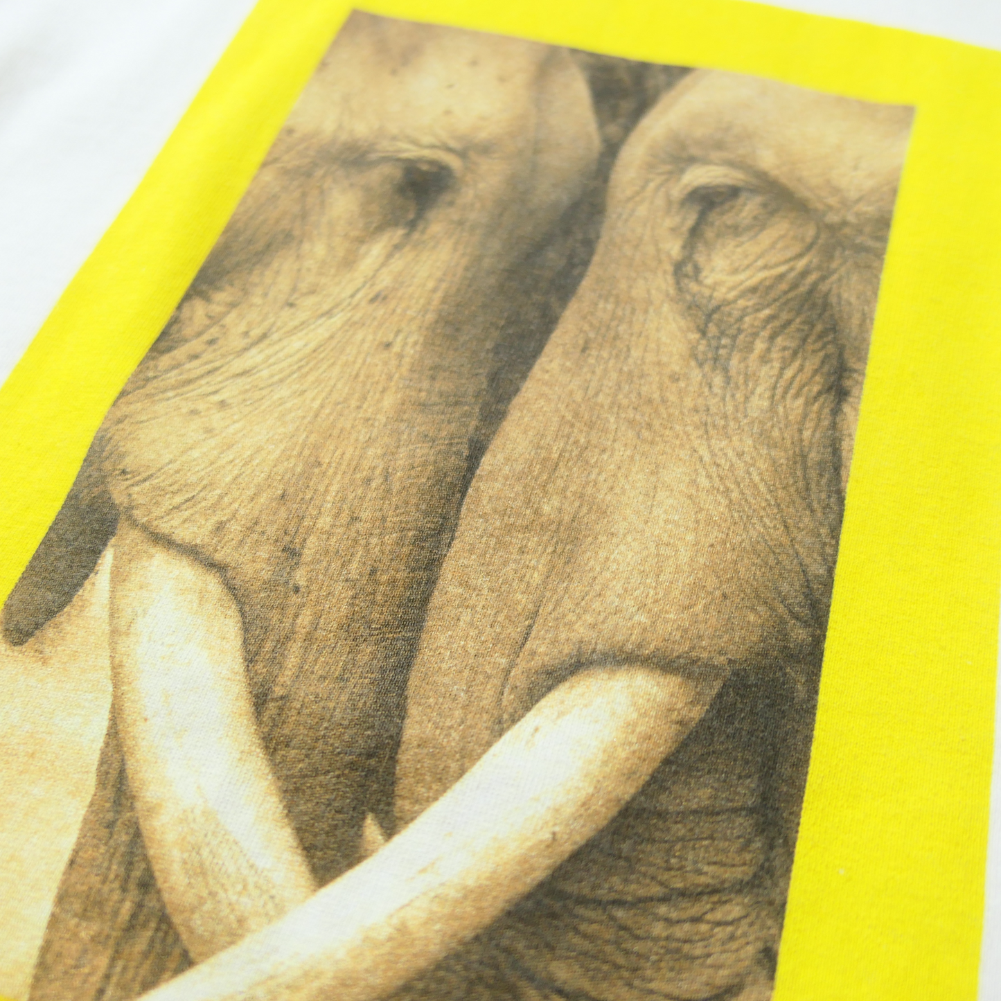00s Animal Tee "Elephant" -NATIONAL GEOGRAPHIC-