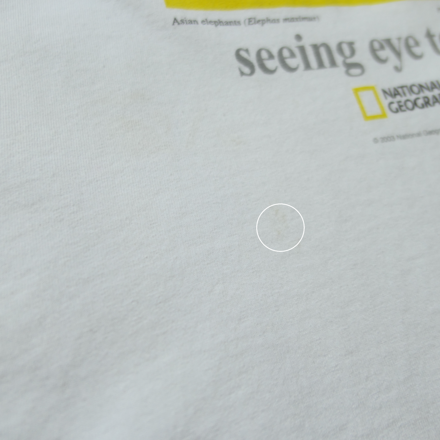 00s Animal Tee "Elephant" -NATIONAL GEOGRAPHIC-