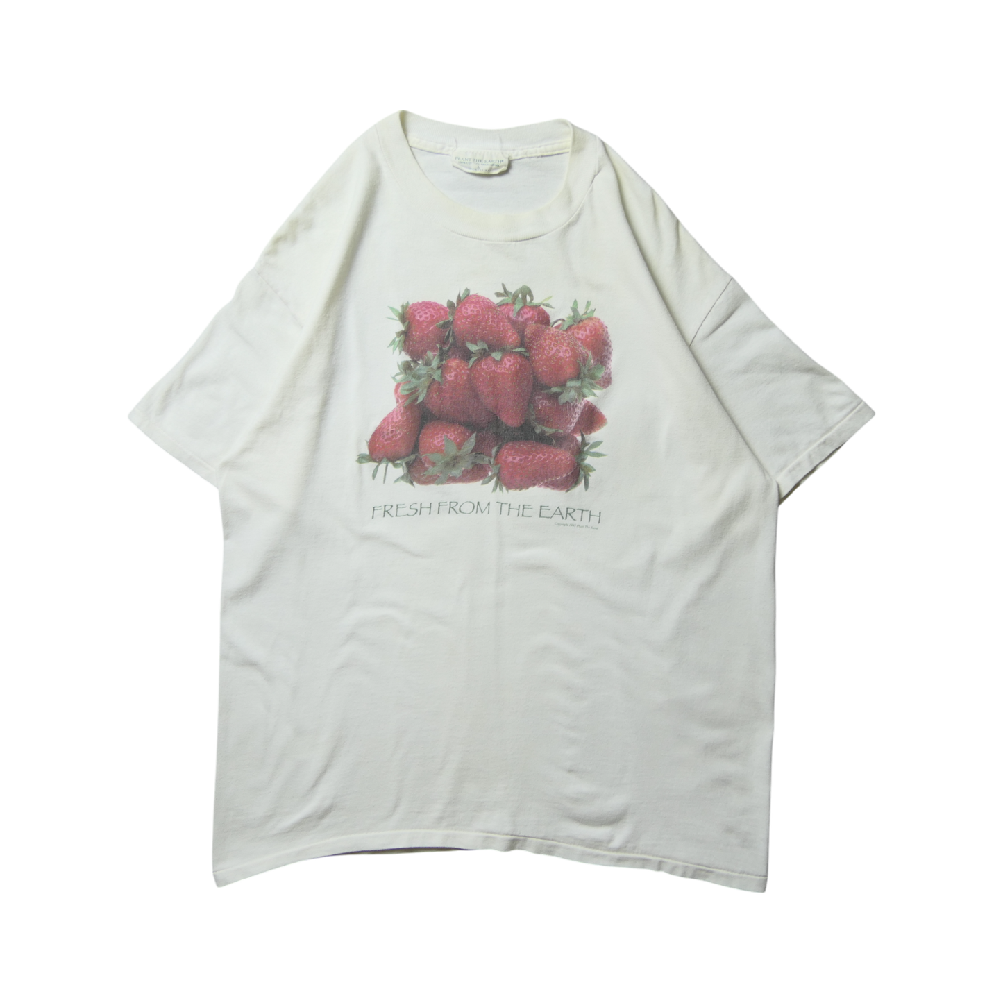 90s Fruit Art Tee -Planet The Earth-
