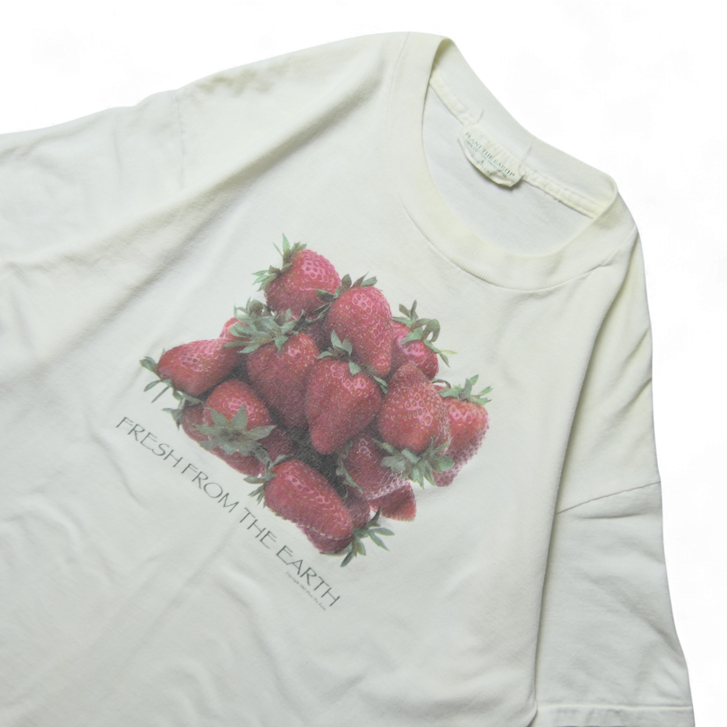 90s Fruit Art Tee -Planet The Earth-
