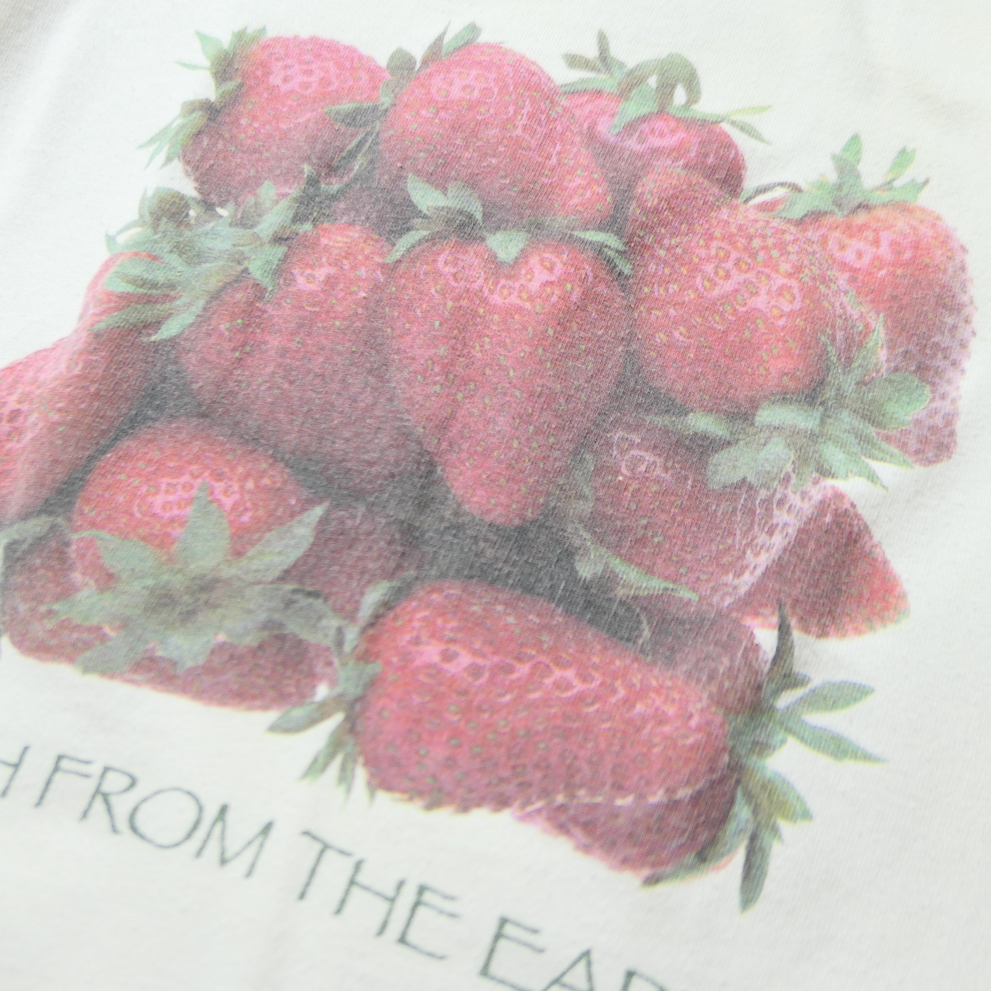 90s Fruit Art Tee -Planet The Earth-