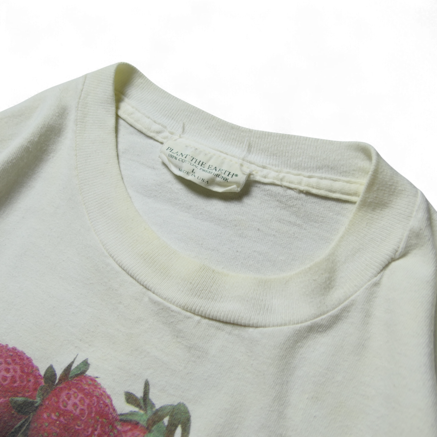 90s Fruit Art Tee -Planet The Earth-