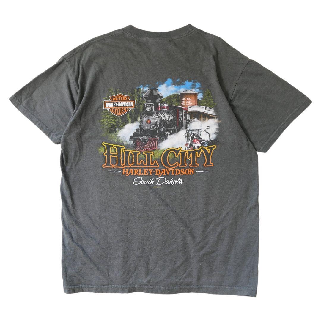 USED 00s L Printed T-shirt -HARLEY DAVIDSON-
