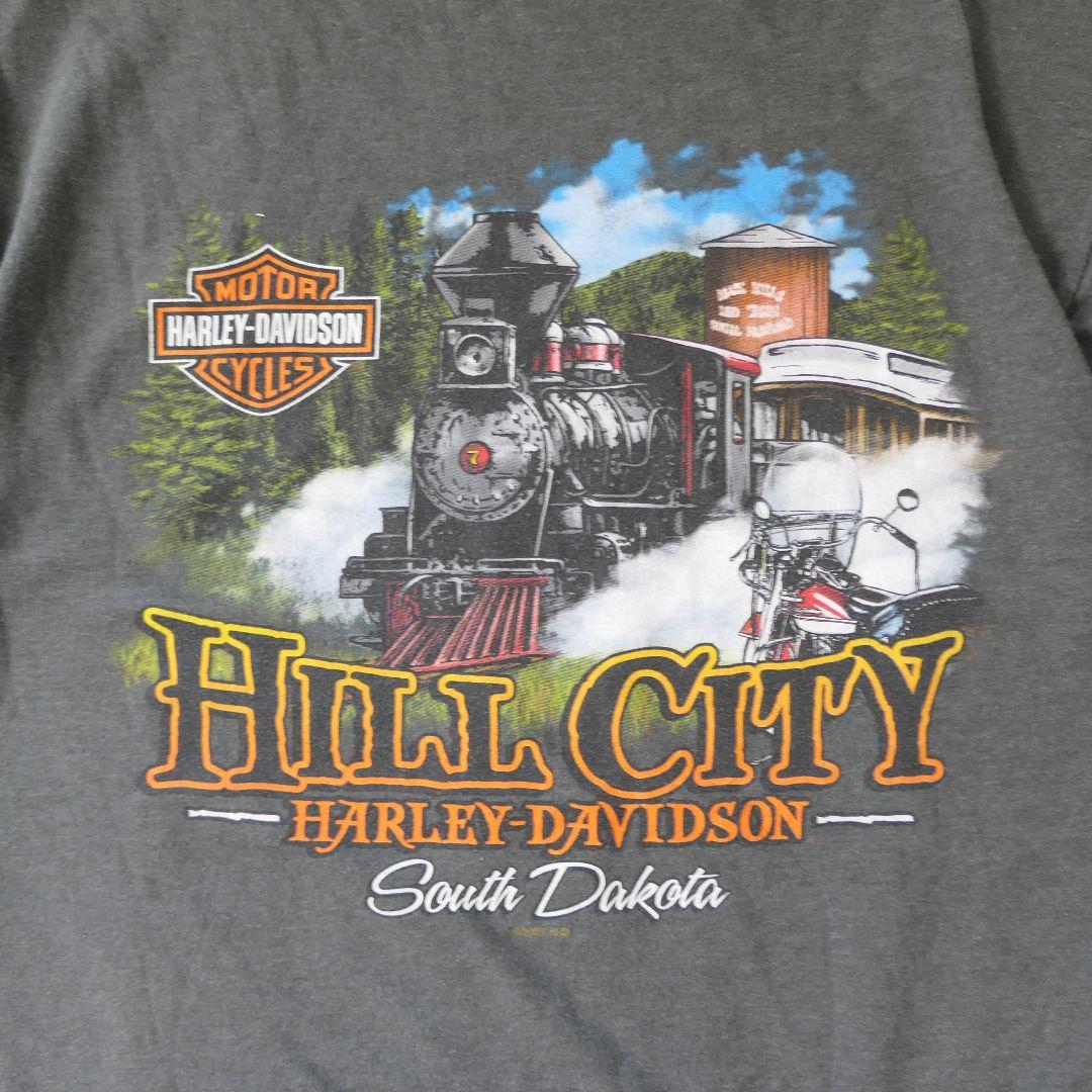 USED 00s L Printed T-shirt -HARLEY DAVIDSON-