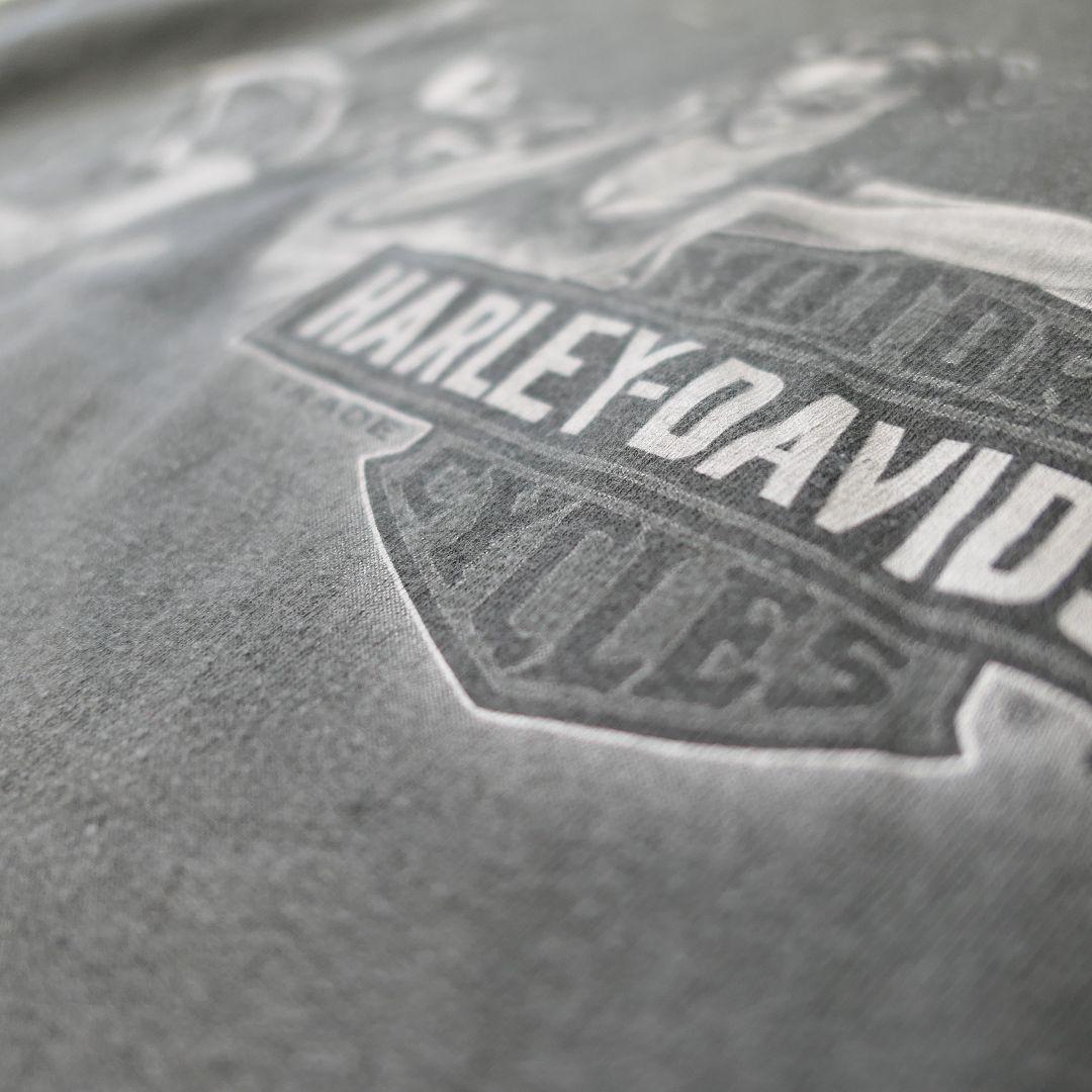 USED 00s L Printed T-shirt -HARLEY DAVIDSON-