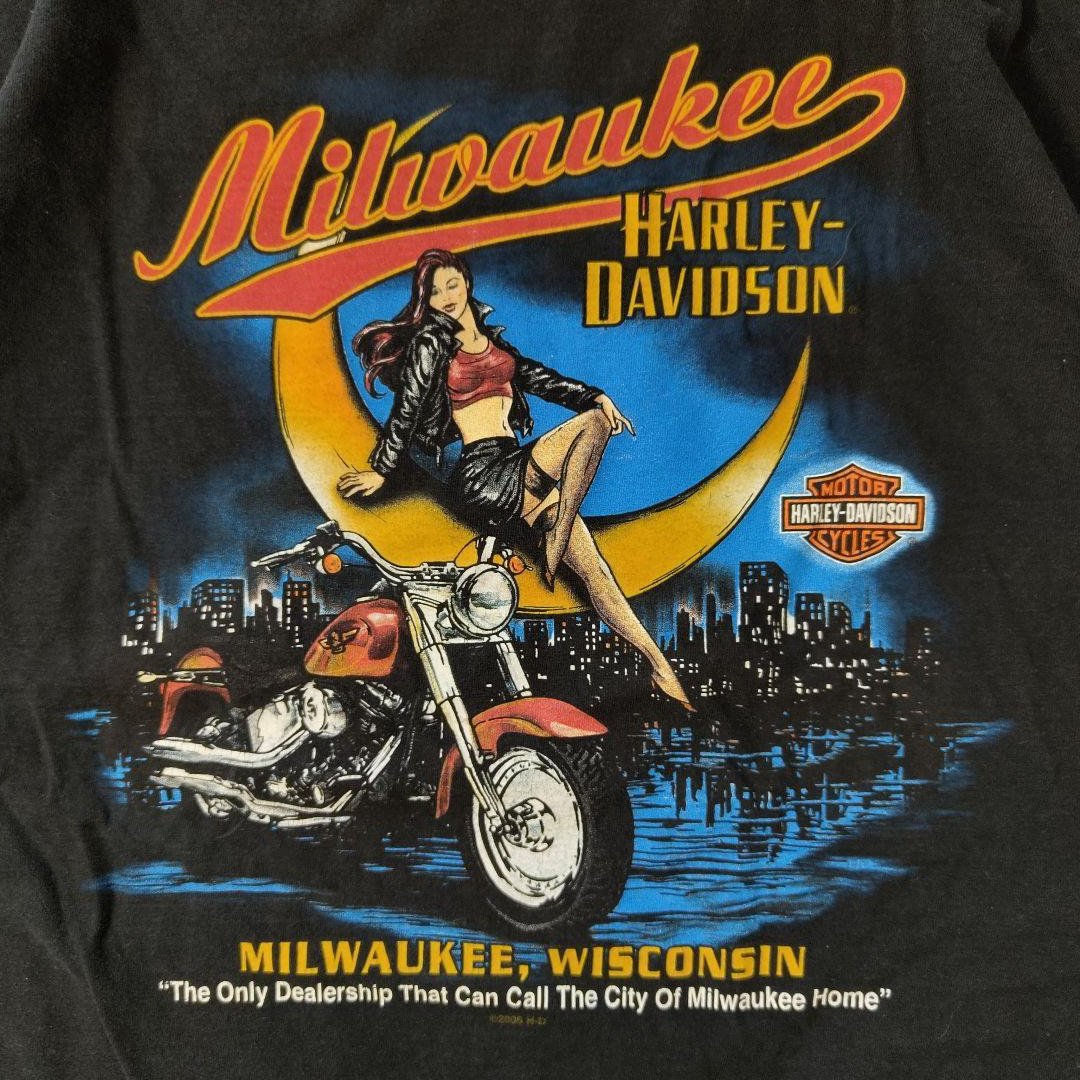 USED 00s 3XL Print T-shirt -HarleyDavidson-