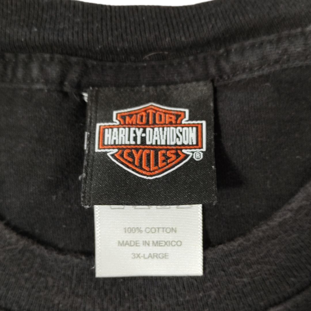 USED 00s 3XL Print T-shirt -HarleyDavidson-