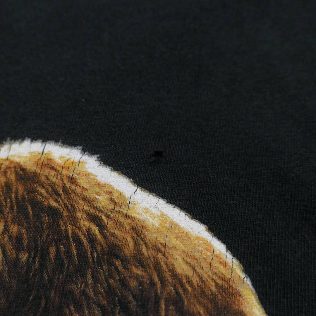 VINTAGE 00s Rock Band Tee -tool-