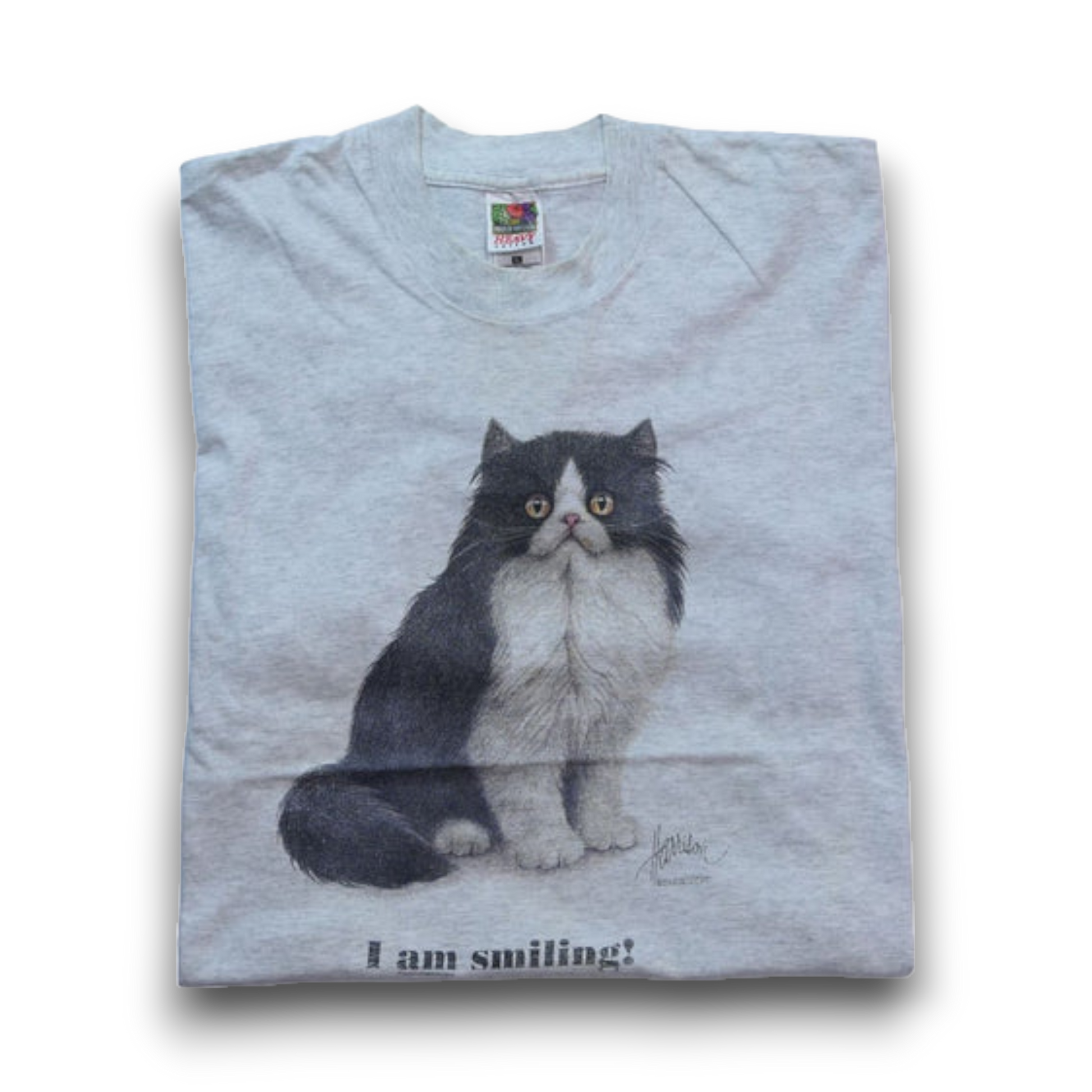 90s ヴィンテージ ネコTシャツ ボブハリソン アートTシャツ USA製 VINTAGE 90s XL Art Tee