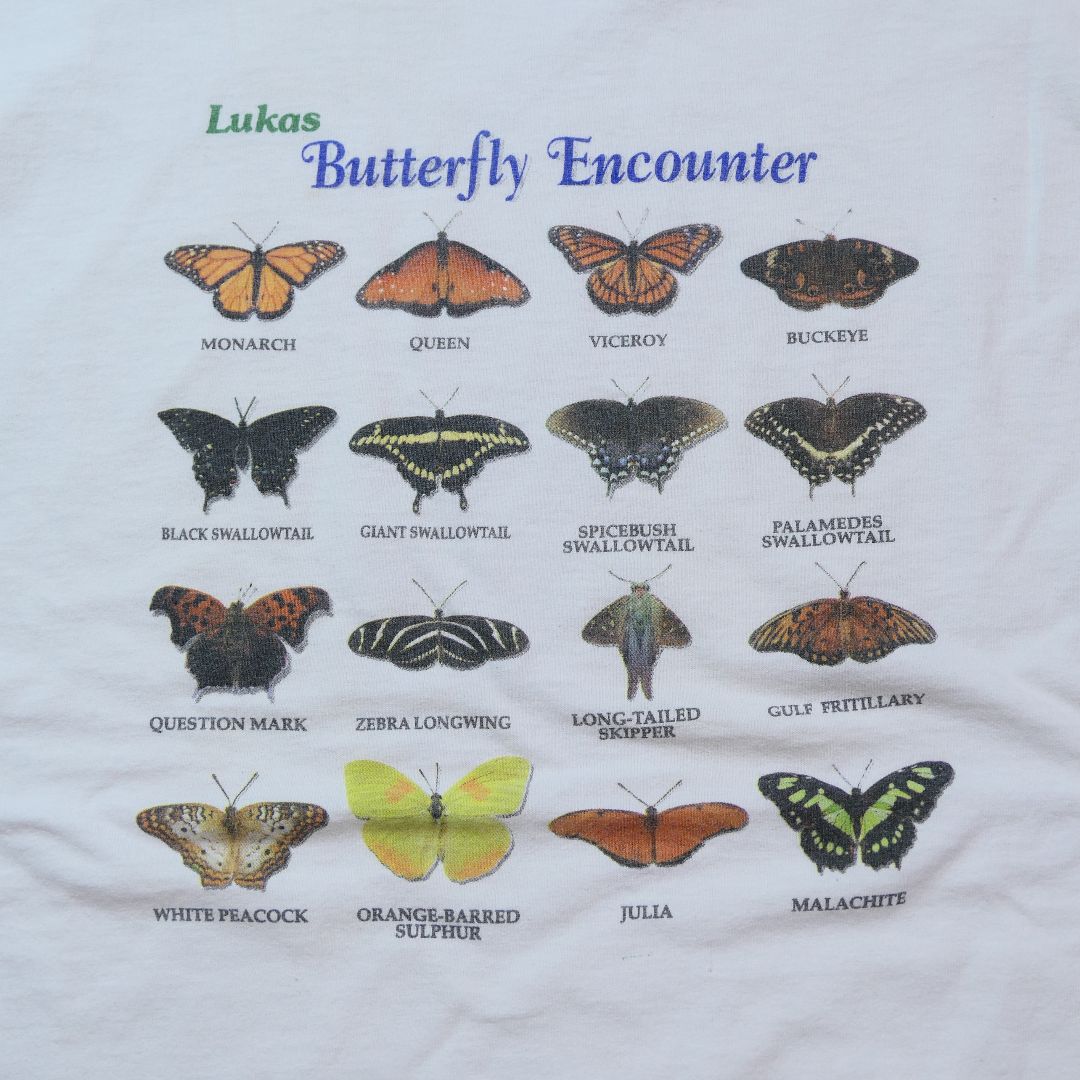 VINTAGE 90-00s M Promotion Tee "butterfly" -LUKAS-