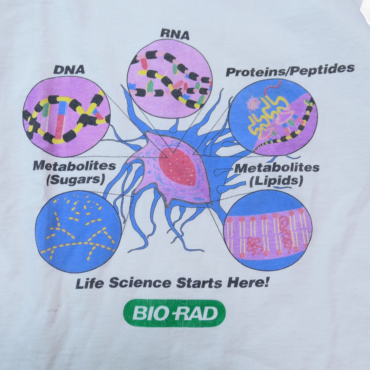 VINTAGE 90s XL Promotion Tee -BIORAD-