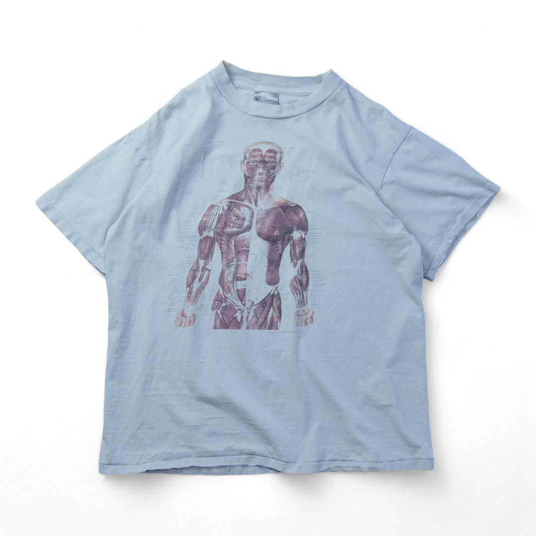 VINTAGE 90s L Art Tee -Anatomical Chart-