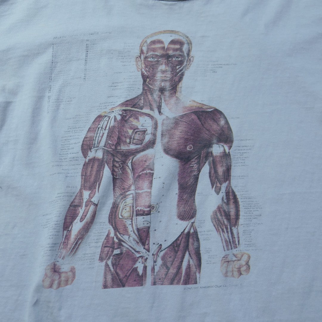 VINTAGE 90s L Art Tee -Anatomical Chart-