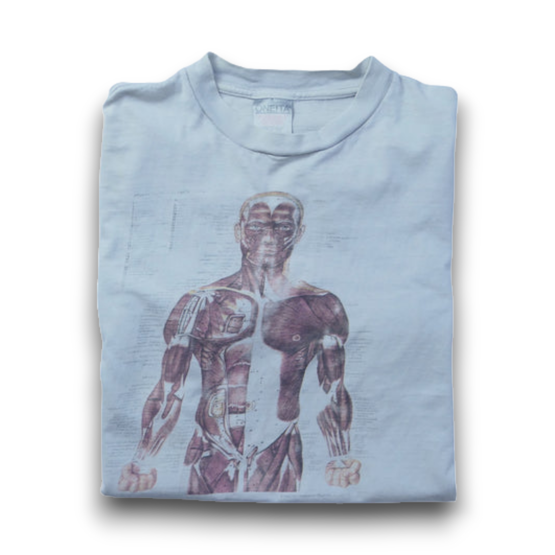 VINTAGE 90s L Art Tee -Anatomical Chart- – ユウユウジテキ VINTAGE 90s L Art Tee -Anatomical Chart- – ユウユウジテキ