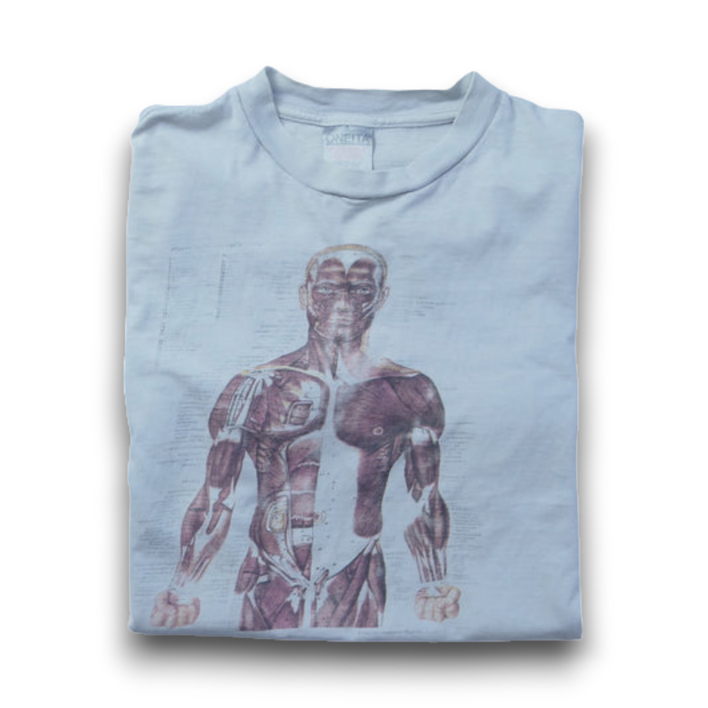 VINTAGE 90s L Art Tee -Anatomical Chart-