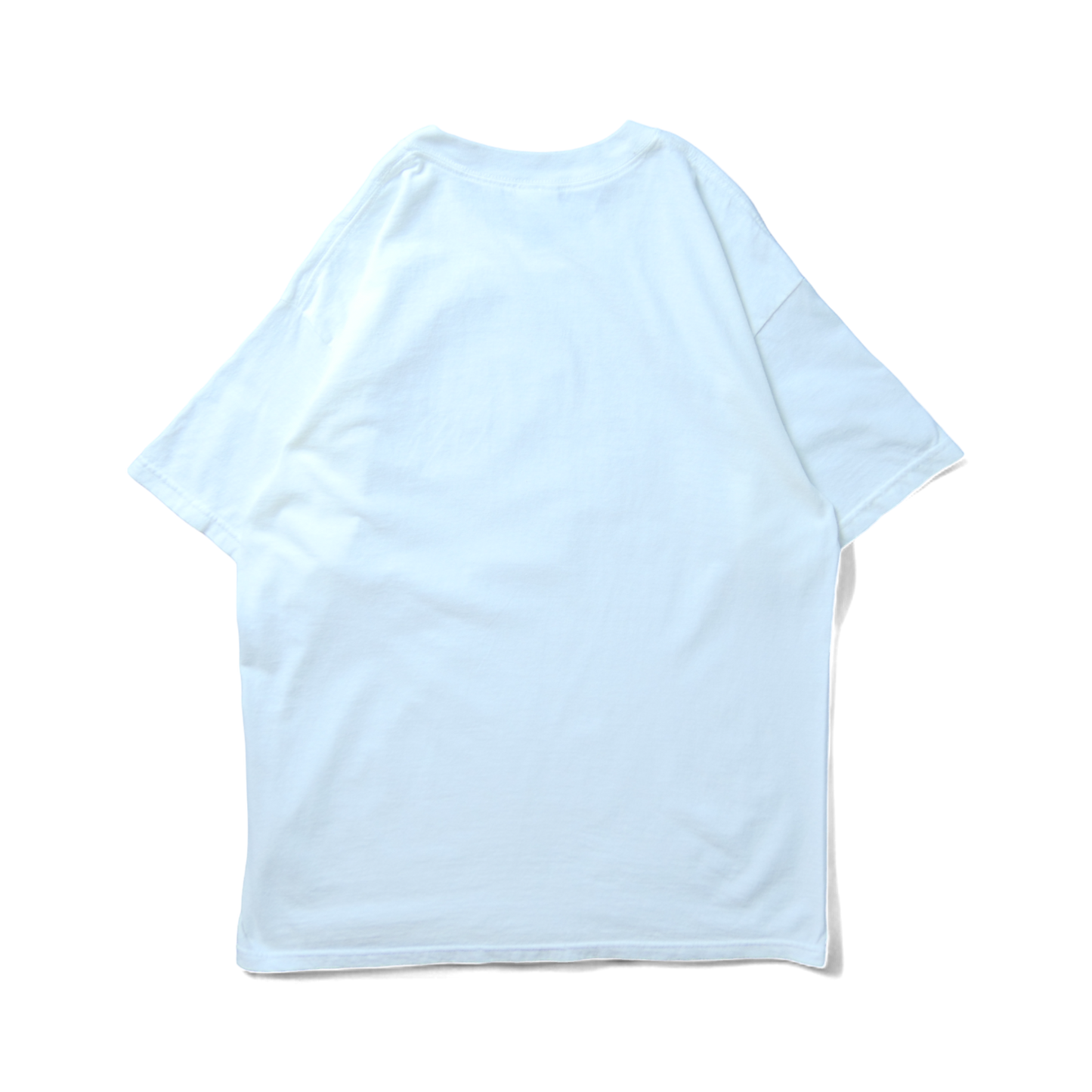 VINTAGE 90-00s Science Tee -Age Equation-