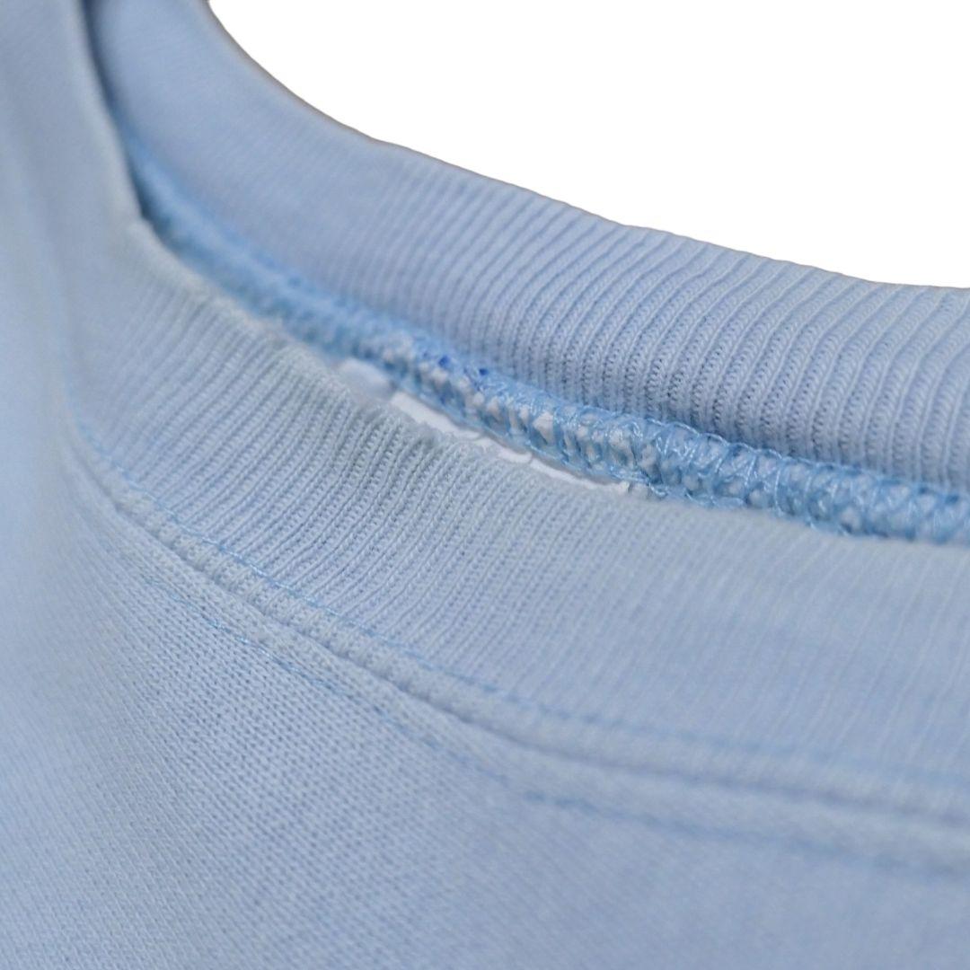 VINTAGE 90s L Reverse Weave Sweat "SKYBLUE" -Champion-