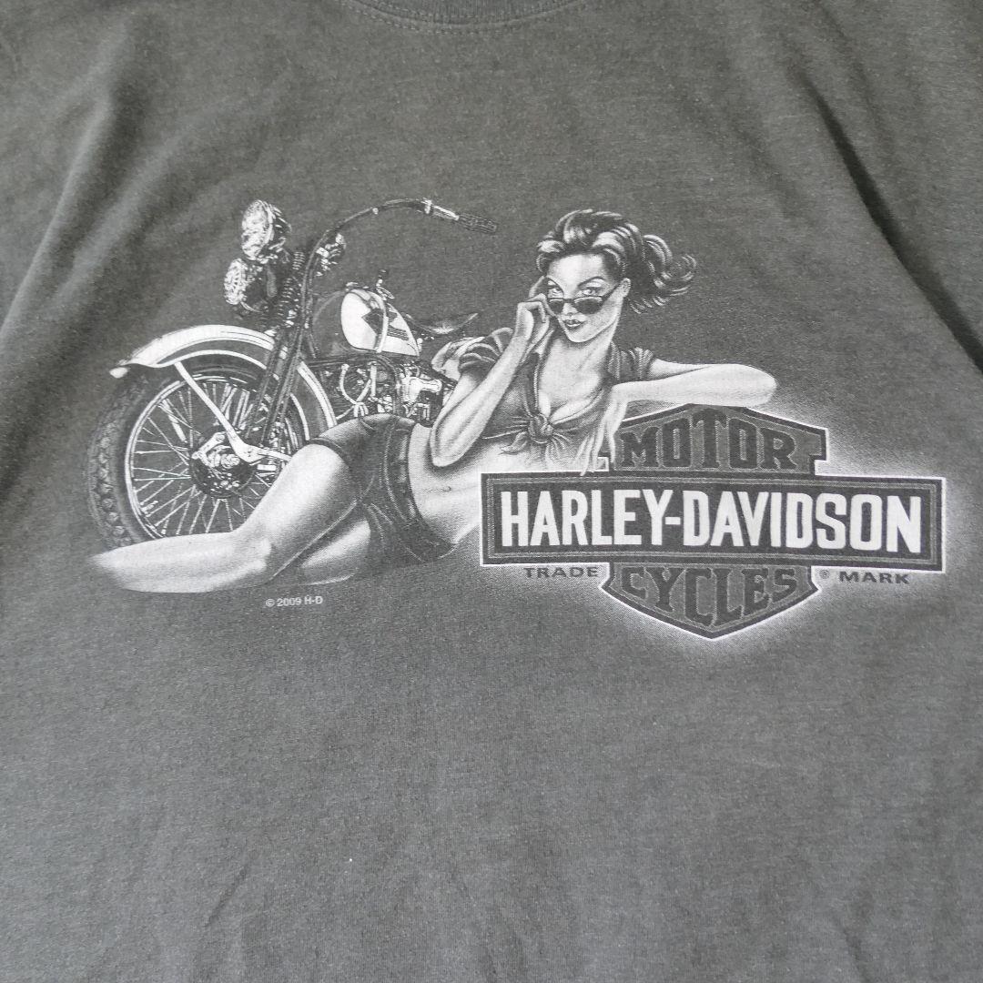 USED 00s L Printed T-shirt -HARLEY DAVIDSON-