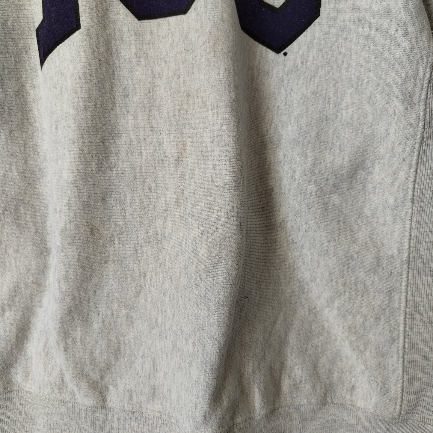 [Champion] reverse weave sweat