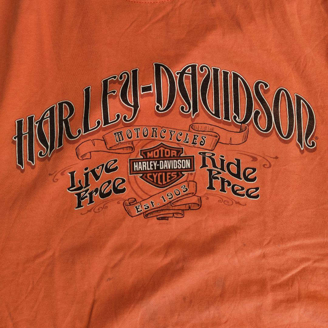 [HARLEY DAVIDSON] print t-shirt , made in USA / XL